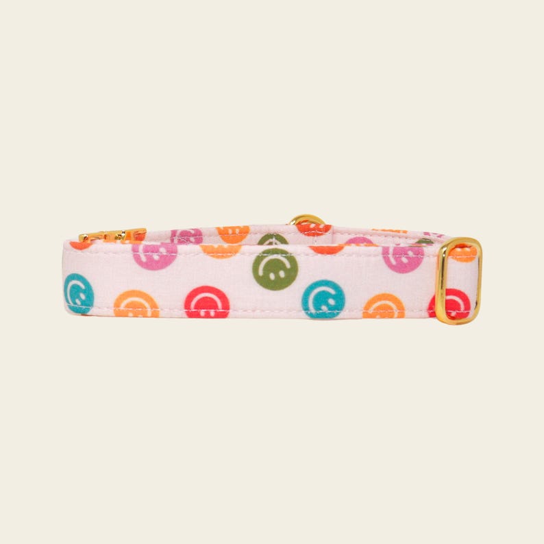 Groovy pastel puppy collar with retro smiley print and adjustable gold hardware