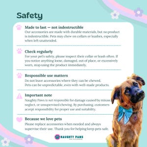 Lavender Pink Velvet Dog Collar, Luxury Soft Dog Collar, Elegant Girl Dog Collar, Velvet Puppy Collar – PRINCESS image 8