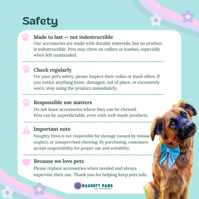 Lavender Pink Velvet Dog Collar, Luxury Soft Dog Collar, Elegant Girl Dog Collar, Velvet Puppy Collar – PRINCESS image 8