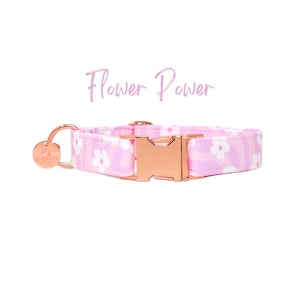 Pink and Purple Floral Girl Dog Collar, Groovy Female Dog Collar, Thin Dog Collar, XL Dog Collar, Martingale or Flat Dog Collar FLOWER POWER