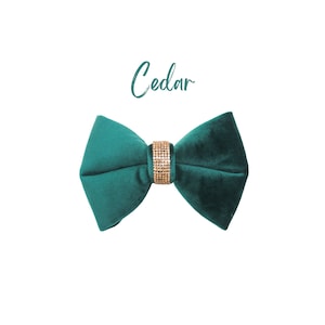 May include: A green velvet bow tie with a gold rhinestone centre. The bow tie is labelled "Cedar".