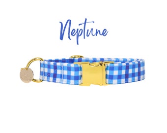 Collier pour chien à carreaux vichy bleus et blancs, martingale à carreaux bleus ou collier pour chien plat, collier fin pour chiot, collier pour chien mâle coloré -NEPTUNE