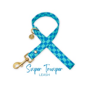 Blue Checkered Dog Leash, Male Traffic Dog Leash option, Groovy Dog Leash, Puppy Leash | SUPER TROUPER