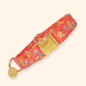 Pumpa Pie Hundhalsband, Höstblommig Martingale eller platt, Hösttillbehör till Husdjur | SKÖRDETABELL