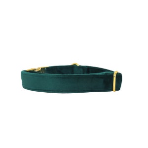 May include: A dark green velvet dog collar with gold-toned hardware.