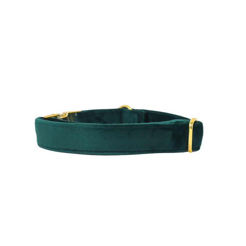 May include: A dark green velvet dog collar with gold-toned hardware.