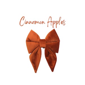 Può includere: Un grande fiocco di velluto color ruggine dalla forma classica. Il fiocco è centrato su uno sfondo bianco, con le parole "Cinnamon Apples" in una scritta a mano sopra. È un accessorio per capelli.