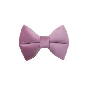 May include: A lavender velvet bow tie, centered on a white background. The bow tie is a soft, muted purple color, with a classic bow shape. The fabric has a subtle sheen.