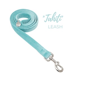 Luxe Turquoise Velvet Dog leash |  1", 3/4" | available with different hardware colors and lengths | Boy or Girl dog leash | TAHITI