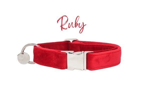 Luxury Leather Designer Dog Collar In XS, S, M, L, XL (Optional Leash  Available)