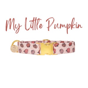 Collar de calabaza para perro, collar con flores de otoño, collar personalizado para perro, collar para cachorro pequeño, collar para perro grande, collar para perro XL / MY LITTLEPUMPKIN