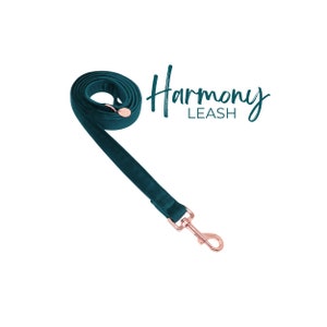 Christmas Luxe Dark Jade Green Velvet Dog Leash, Cute Girl Dog Leash, Custom Dog Leash, Handmade Dog Leash, Wedding Dog Leash - HARMONY