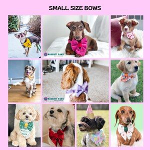 May include: A collage of nine dogs wearing various small-sized bows and bandanas. The bows come in a variety of colors, including pink, purple, red, and patterned designs. The text "SMALL SIZE BOWS" is at the top of the image.