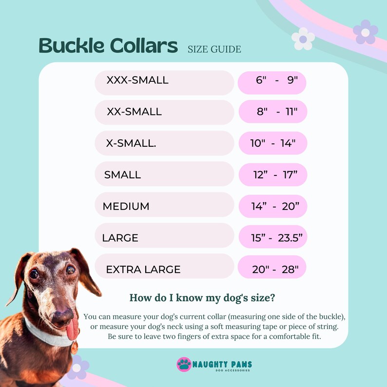 May include: A size guide for buckle collars, with measurements in inches, is displayed on a light blue background. The guide includes sizes from XXX-Small to Extra Large, with a dachshund dog in the lower left corner.