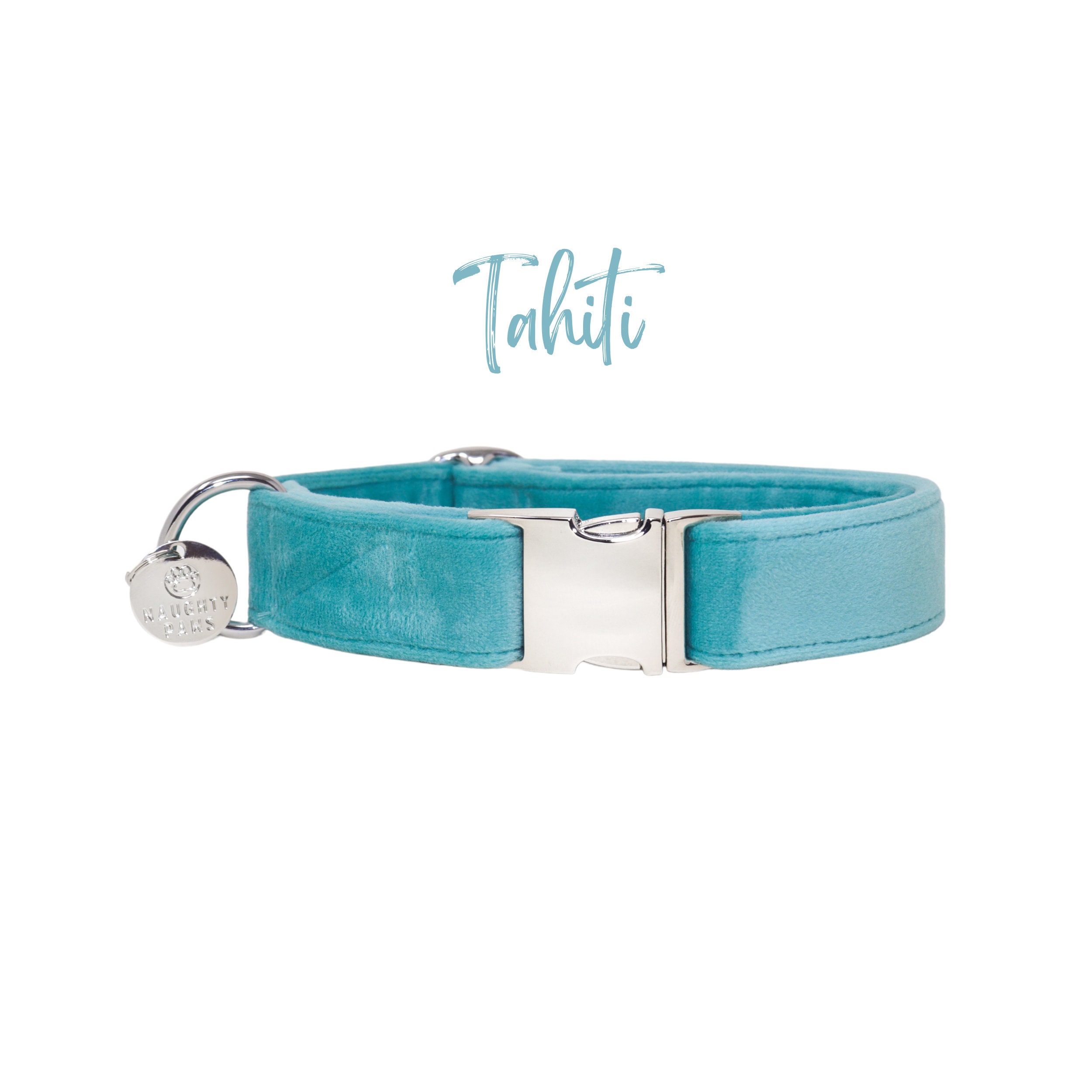 Tiffany Blue Velvet Dog Collar Turquoise Soft and Luxurious 