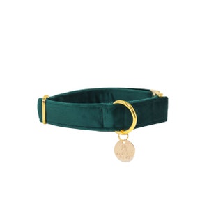 May include: A dark green velvet dog collar with a gold metal buckle and a gold charm that says "Naughty Paws".