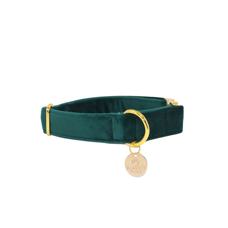 May include: A dark green velvet dog collar with a gold metal buckle and a gold charm that says "Naughty Paws".