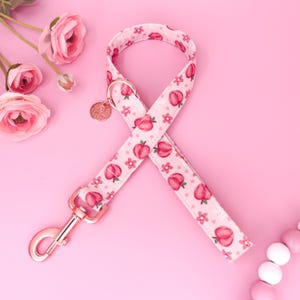 May include: A pink dog leash with a peach and flower pattern. The leash has a rose gold clasp and hardware. A small rose gold charm hangs from the leash. The background is a solid pink color.