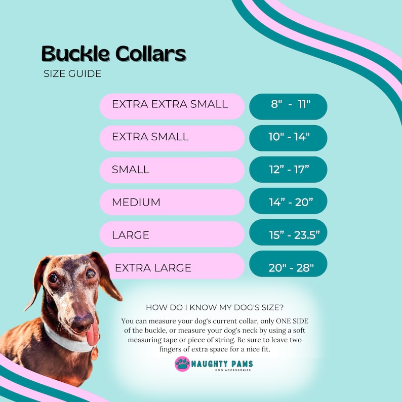 May include: Size guide for buckle collars, with measurements in inches. Sizes range from Extra Extra Small (8"-11") to Extra Large (20"-28"). Includes a dachshund wearing a collar. Text: "How do I know my dog's size?" and "Naughty Paws Dog Accessories."