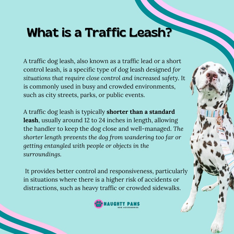 May include: A white and black dalmatian dog wearing a colorful leash. The text "What is a Traffic Leash?" is at the top of the image. The text explains that a traffic leash is a short leash designed for situations that require close control, such as busy streets or crowded events. The leash is typically 12 to 24 inches long. The text also says that a traffic leash provides better control and responsiveness, particularly in situations where there is a higher risk of accidents or distractions, such as heavy traffic or crowded sidewalks.