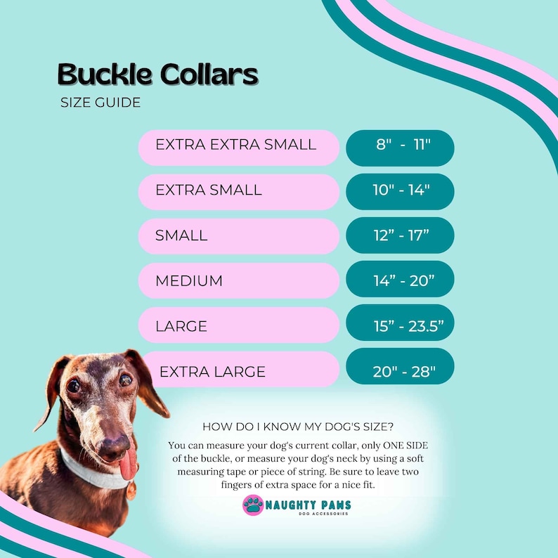 May include: A size guide for buckle collars for dogs. The guide shows the collar size in inches for different dog sizes, including extra extra small, extra small, small, medium, large, and extra large. The guide also includes a tip on how to measure your dog's neck for the correct collar size.