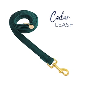 Forest Green Christmas Velvet Dog leash, Puppy Leash, Custom Dog Leash, Holidays Dog Accessories -CEDAR
