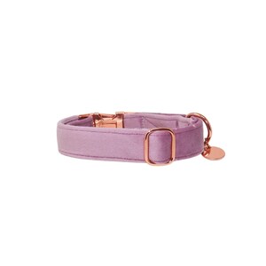 May include: A light purple velvet dog collar with rose gold hardware. The collar has a buckle closure and a D-ring for attaching a leash.