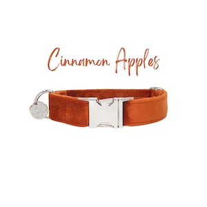 May include: A brown velvet dog collar with a silver buckle. The collar has the text "Cinnamon Apples" printed above it.