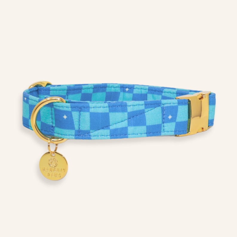 Super Trouper handmade dog collar in a bold blue plaid print with gold buckle and D-ring, photographed on a light neutral background.