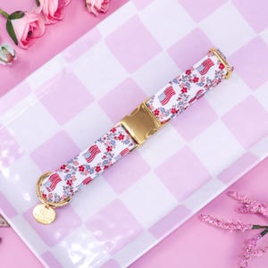 Patriotic Dog Collar, 4th of July Collar, Boy Dog Collar, Red, White, Blue Custom Dog Collar, Martingale or Flat, Summer Collar | MISS JULY