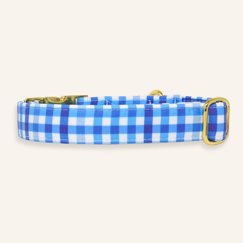 Blue and white gingham dog collar available in buckle or martingale style with premium gold hardware.