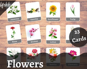 Types of Flowers Flash Cards |  23 Montessori Cards |  Homeschooling | Three-Part Cards | Early Education | Flashcards Printable Download