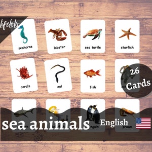 Zwierzęta morskie - prawdziwe zdjęcia - 26 kart Flash ze zwierzętami oceanicznymi | Karty Montessori | Edukacja domowa | Karty trzyczęściowe - do wydrukowania