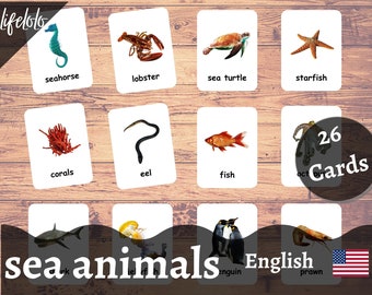 Zeedieren echte foto's - 26 oceaandieren Flash-kaarten | Montessorikaarten | Thuisonderwijs | Driedelige kaarten - afdrukbare download