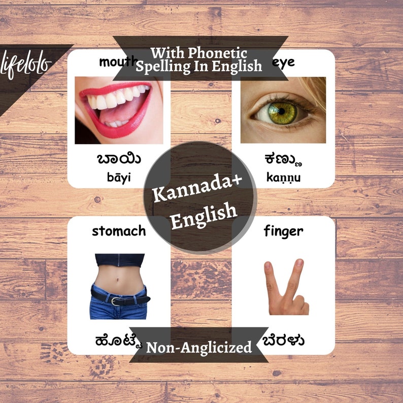 Body Parts real KANNADA English Bilingual Cards 24 - Etsy