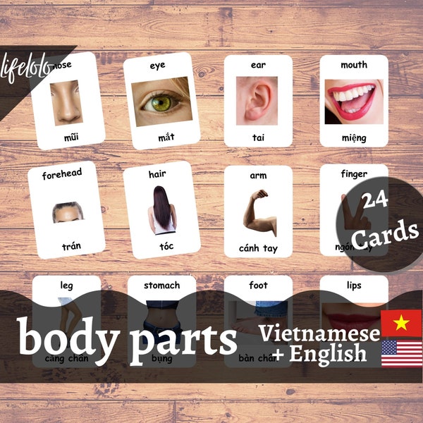 Body Parts (Real) | VIETNAMESE | English Bilingual Cards | 24 Vietnamese Flash Cards | Montessori Materials | Homeschooling - Download
