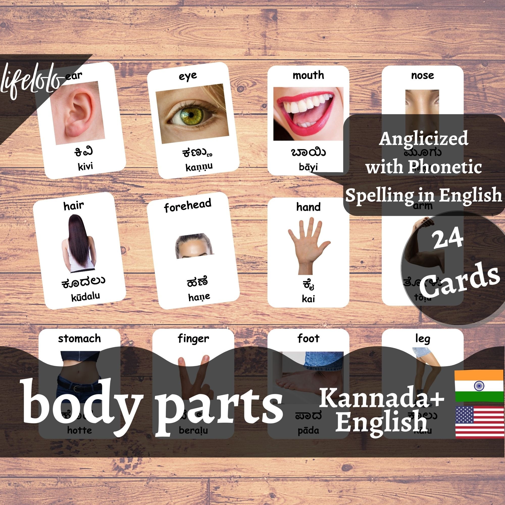 Body Parts real KANNADA English Bilingual Cards 24 Etsy