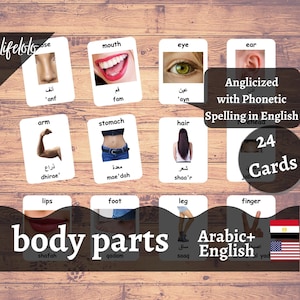 Parti del corpo (reali) / ARABO / Carte bilingue inglesi / 24 Flash Card arabe / Materiali Montessori / Homeschooling - Download stampabile