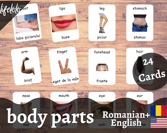 May include: A set of 24 flashcards featuring body parts in both English and Romanian. The cards are white with black text and images. The images include a foot, lips, leg, stomach, arm, finger, forehead, hair, nose, mouth, eye, and ear.