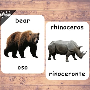 May include: Two flashcards with images and words for bear and rhinoceros. The bear is brown and the rhinoceros is gray. The words are in English and Spanish.