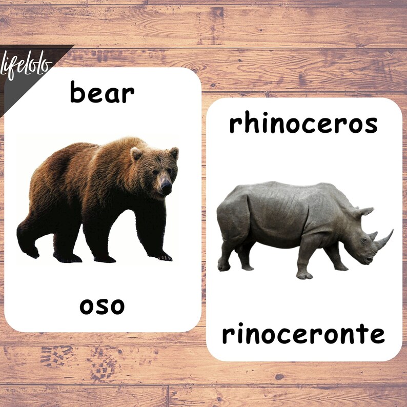 May include: Two flashcards with images and words for bear and rhinoceros. The bear is brown and the rhinoceros is gray. The words are in English and Spanish.