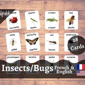 Insects, Bugs, 28 French Flash Cards, English Bilingual Cards, Three part Cards, Printable Cards, Homeschool, Insect Animals Learning