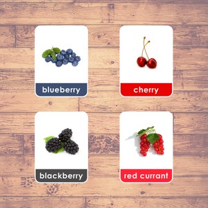Flashcards Baies | Imprimable Montessori | École à la maison Préscolaire | Jouets préscolaires | Télécharger Imprimable, Cartes Flash Fruits, Cartes Montessori
