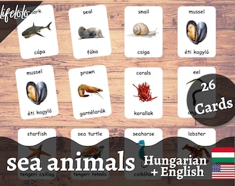 Sea Animals HUNAGARIAN Version - English Bilingual Cards | 26 Hungarian Flash Cards | Homeschooling | Educational Material - Download