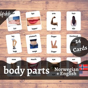 Body Parts (Real) | NORWEGIAN | English Bilingual Cards | 24 Norwegian Flash Cards | Montessori Materials | Homeschooling-Printable Download