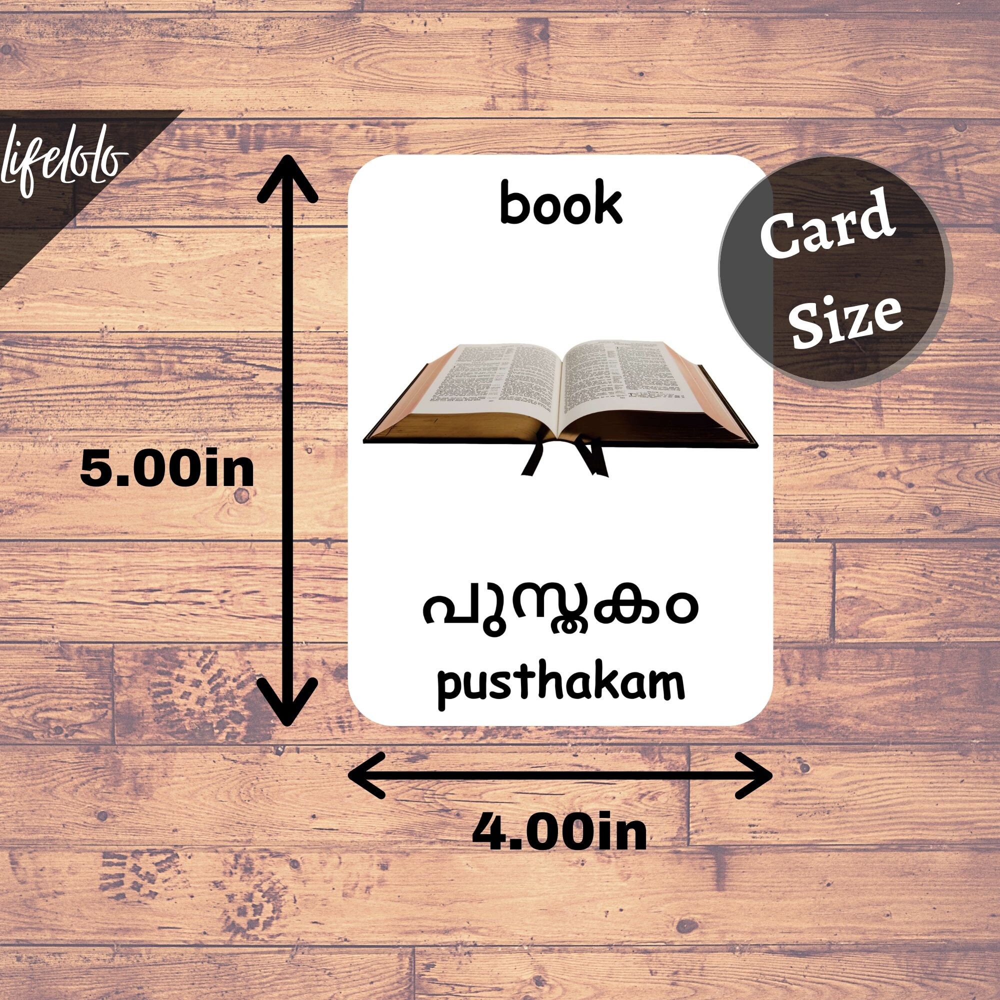 First Words MALAYALAM Version English Bilingual Cards 48 