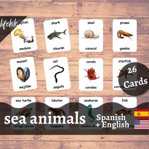Zeedieren SPAANSE versie - Engelse tweetalige kaarten | 26 Spaanse Flash-kaarten | Thuisonderwijs | Educatief materiaal - Download afdrukbaar