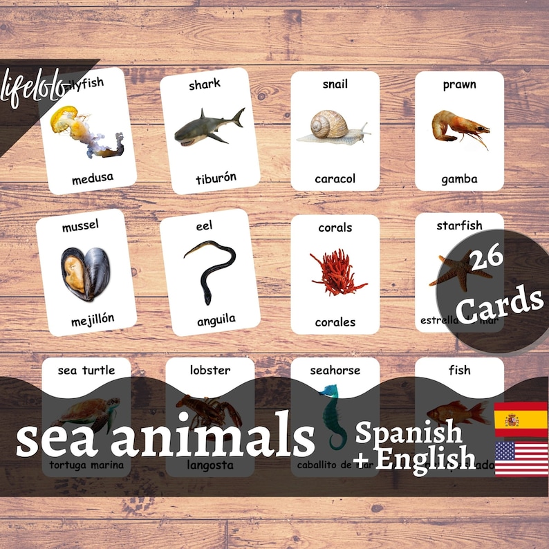 Sea Animals SPANISH Version - English Bilingual Cards | 26 Spanish ...