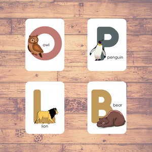 Alfabetos de Animales - Tarjetas didácticas / Educación en el hogar / Material educativo / (26 Tarjetas) - Descarga digital