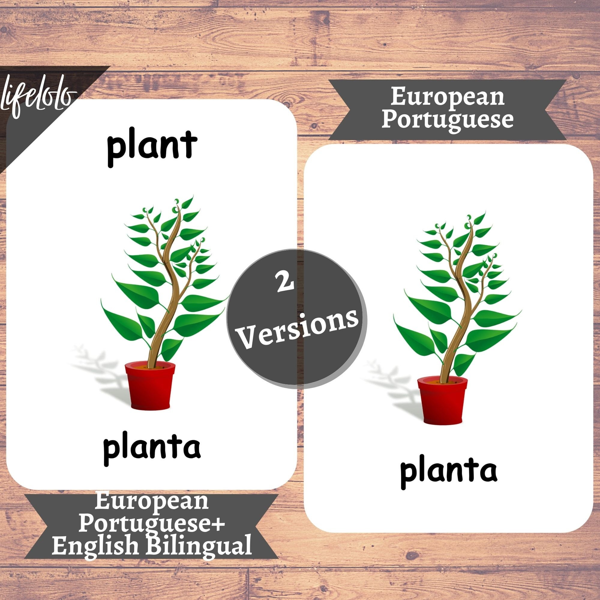 Household Items EUROPEAN PORTUGUESE Flash Cards Bilingual - Etsy